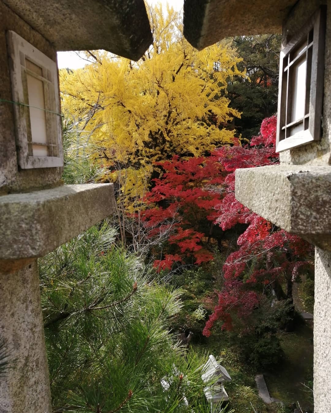 大阪　奈良　紅葉　ドライブ　美容室